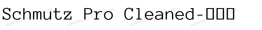 Schmutz Pro Cleaned字体转换